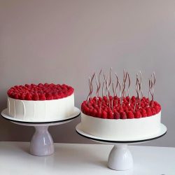 646402705_3267755150069608_5775656009195971727_n